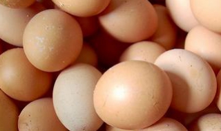 什麼蛋不能吃 答案很簡單