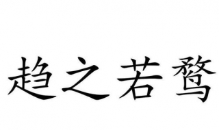 趨之若鶩是什麼意思 一起來積累成語