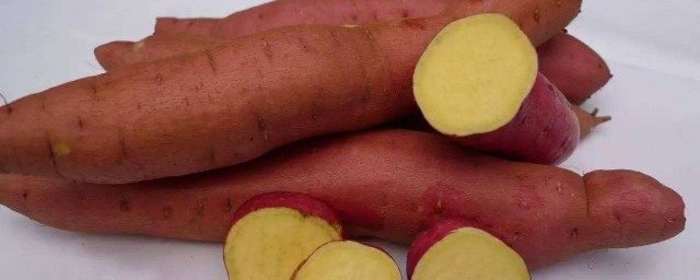 紅薯怎麼放不爛 老方法存放紅薯最實用