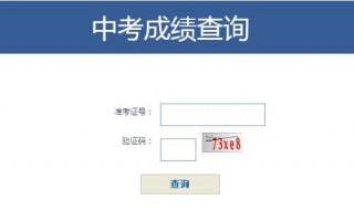 中考成績查詢 我們可以這樣做