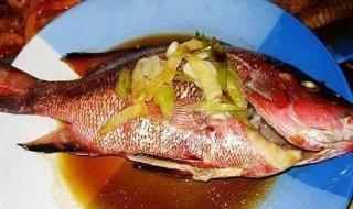 紅魚的做法有哪些 清蒸紅魚怎麼做
