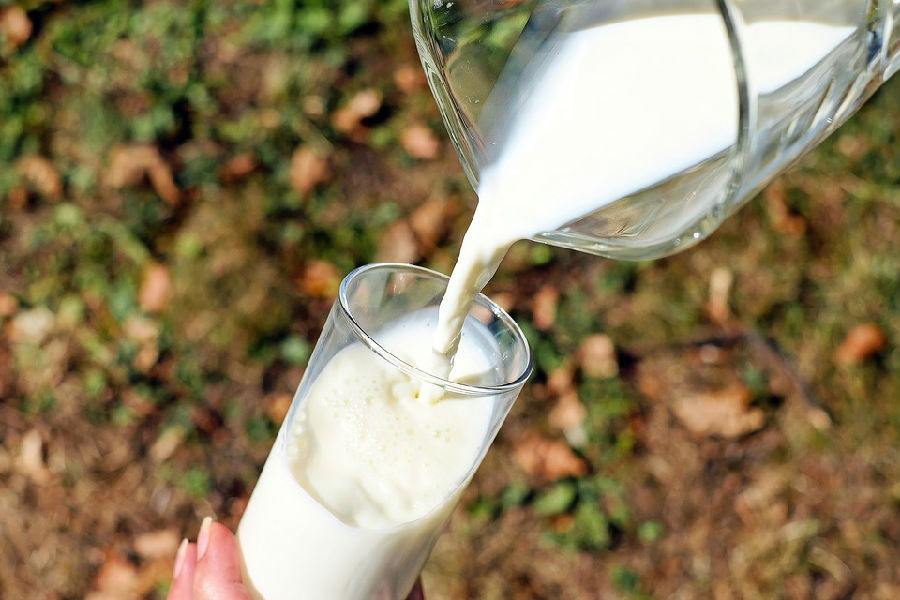 消化不良能喝牛奶嗎