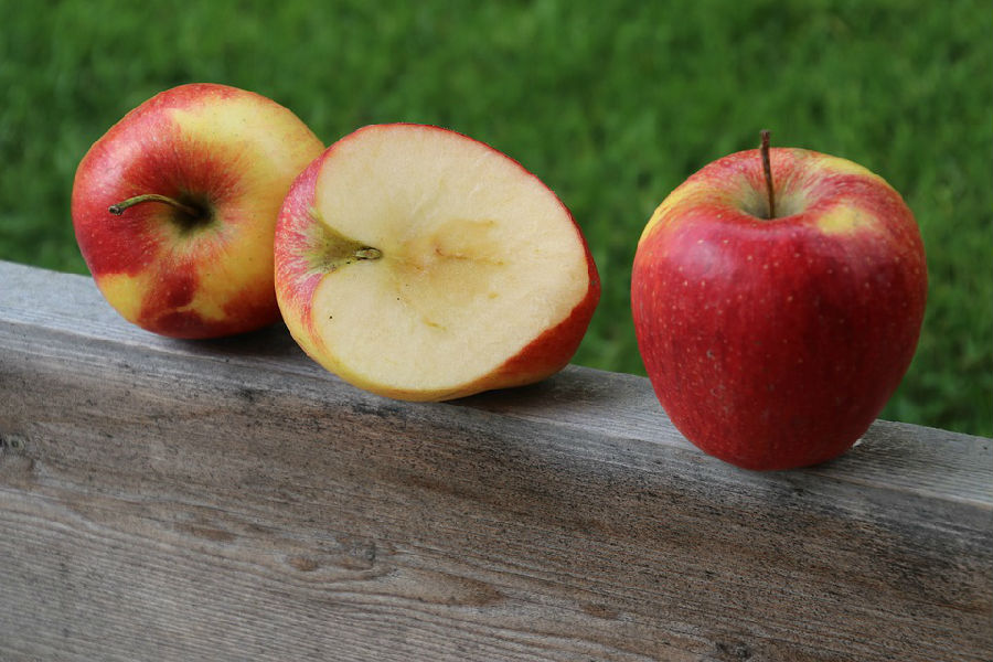 孕婦拉肚子可以吃蘋果嗎