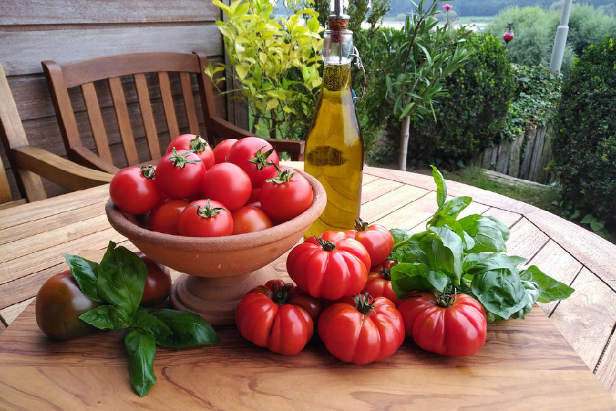 吃綠色的番茄是不是對身體有毒