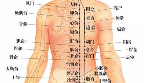 膀胱經的中醫養生功效