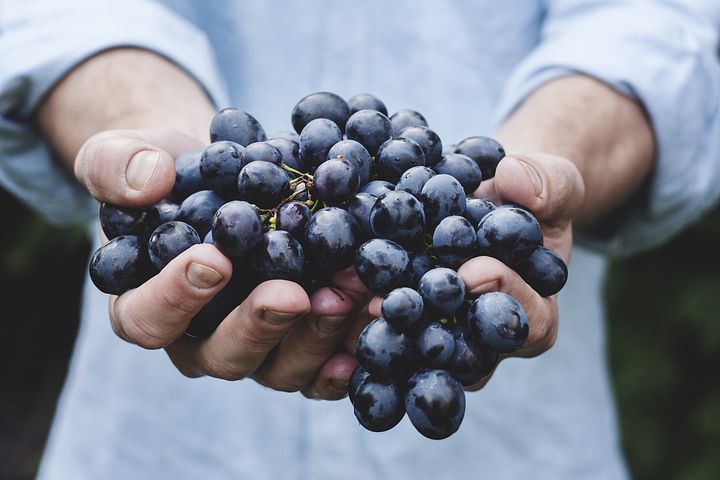 葡萄吃多瞭有哪些危害