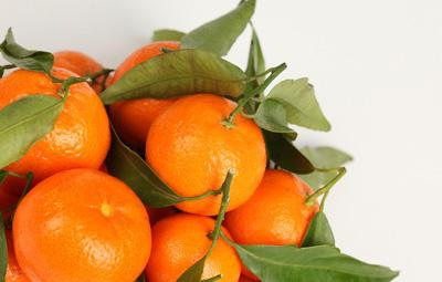 橘子吃多瞭的危害比較多