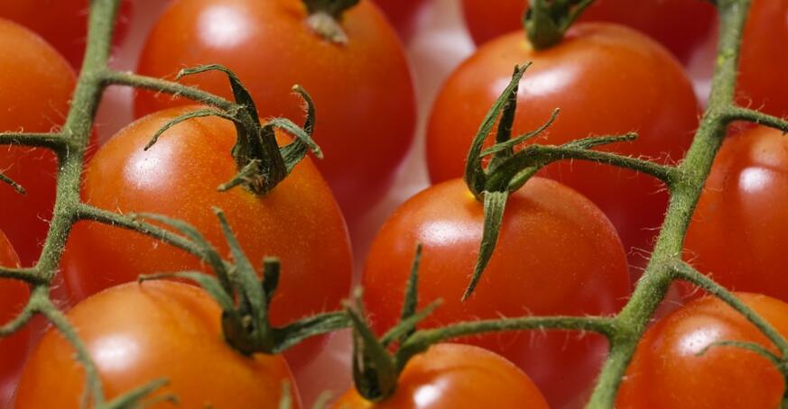 吃西紅柿的好處和壞處