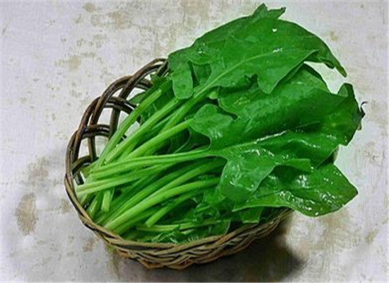蘿卜腿穿衣不好看 四種食物瘦小腿