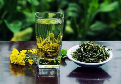 綠茶的沖泡方法和減肥原理
