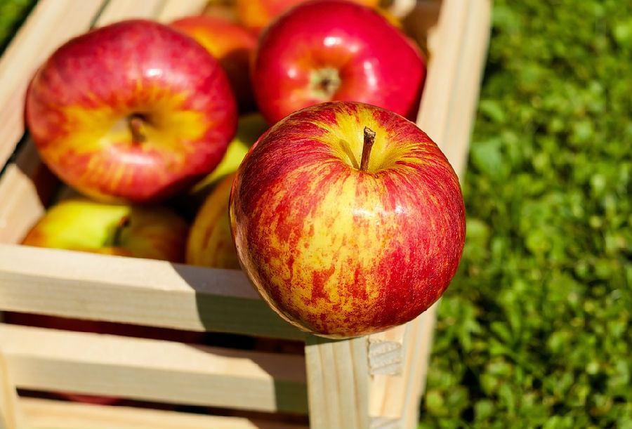孩子發燒能吃蘋果嗎
