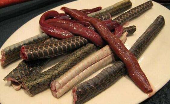 蛇肉不能和什麼一起吃