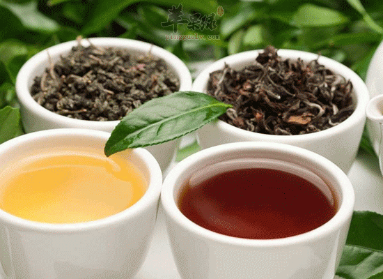 中醫推薦三種茶飲幫助降低膽固醇