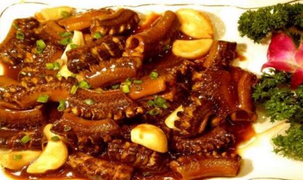 黃鱔不能和什麼一起吃
