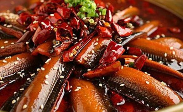 黃鱔不能和什麼一起吃