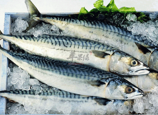 膽固醇高危害大 多吃燕麥片魚類幫助大
