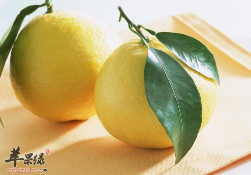 胃口不好怎麼辦 吃這些水果能開胃健脾