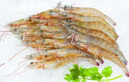 蝦和醋能一起吃嗎