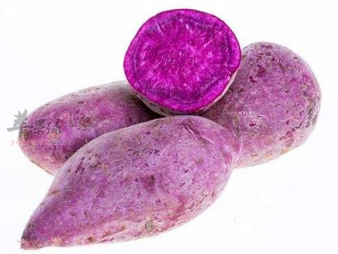 紫薯不能和什麼一起吃