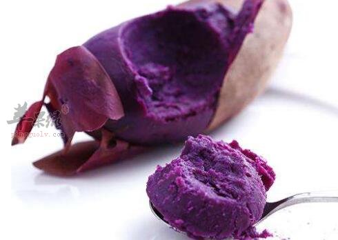 紫薯不能和什麼一起吃