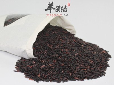 吃哪些食物是可以補精益髓的