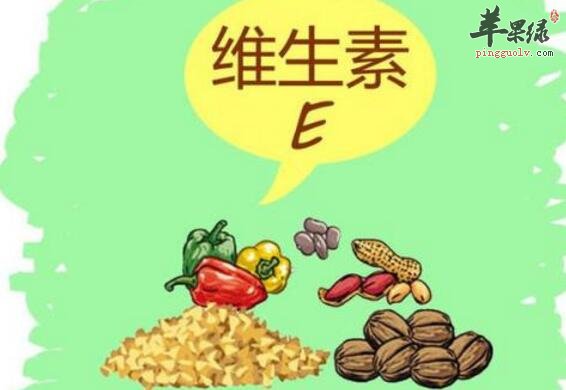 維生素E含量高的食物