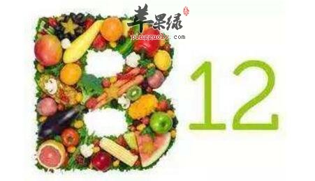 維生素B12含量高的食物