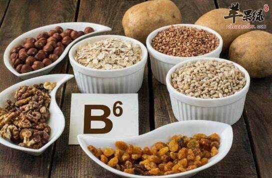 維生素B6含量高的食物