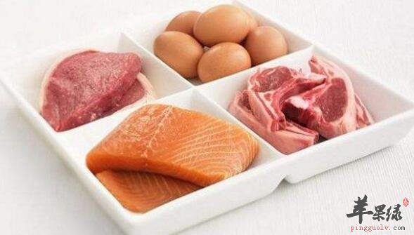 蛋白質含量高的食物