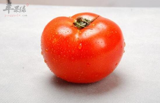 西紅柿不能和什麼一起吃