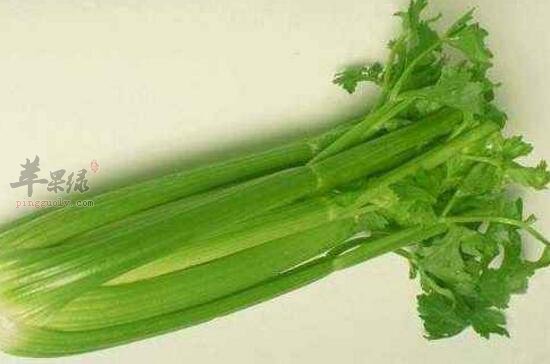 西芹不能和什麼一起吃