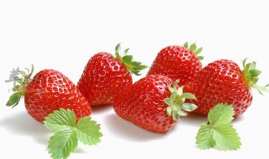 草莓不能和什麼一起吃