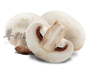 幾種食物適合風濕性關節炎病人