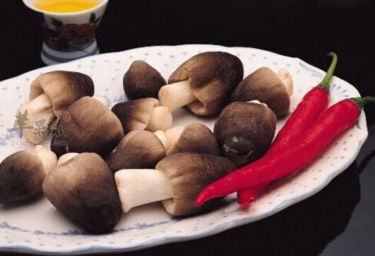 蘑菇不能和什麼一起吃