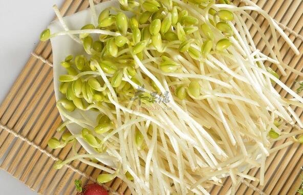 綠豆芽不能和什麼一起吃
