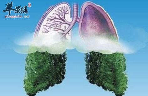 清肺的食物有哪些