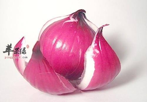 具有消腫止痛功效的食物