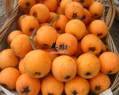 通過吃這些水果能去脂肪