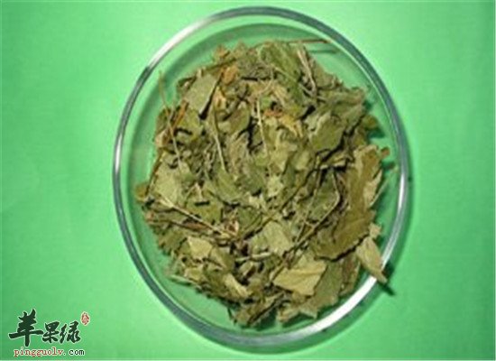 喝茶能治咽炎 三款甜茶適合你