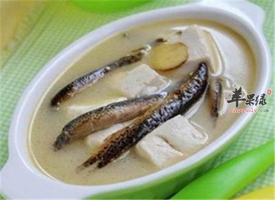 冬季如何養肝 推薦平肝護肝食譜