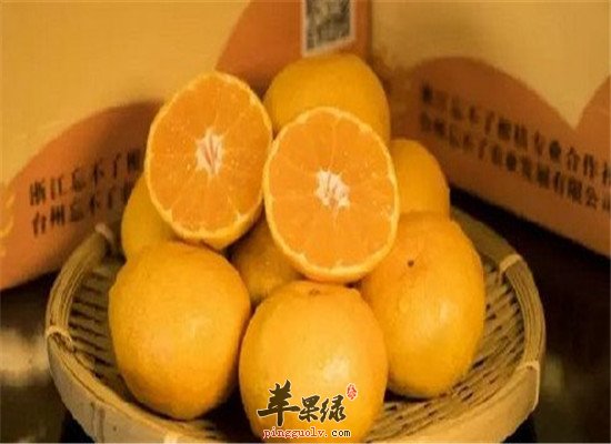 牙齦出血防上火的食譜