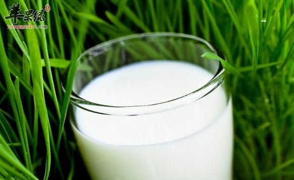 如何知道牛奶過期 註意牛奶過期的情況