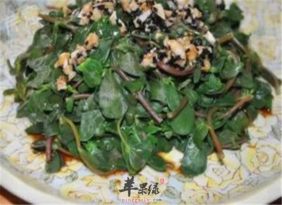 具有止痢作用的養生食譜