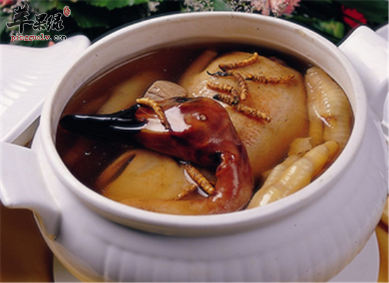 咽炎吃什麼好 推薦三款食譜