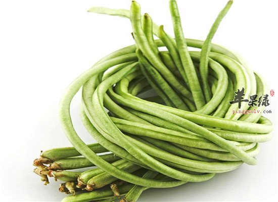 調理脾腎陽虛的幾種食物