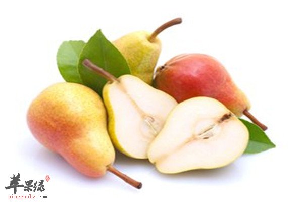 多吃梨和金桔 緩解扁桃體發炎