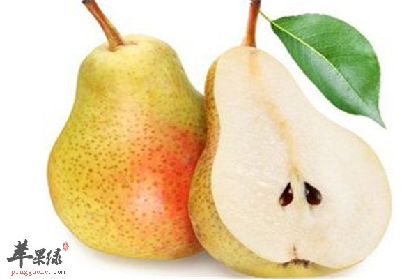 咽喉痛怎麼辦 試試生梨和白蘿卜