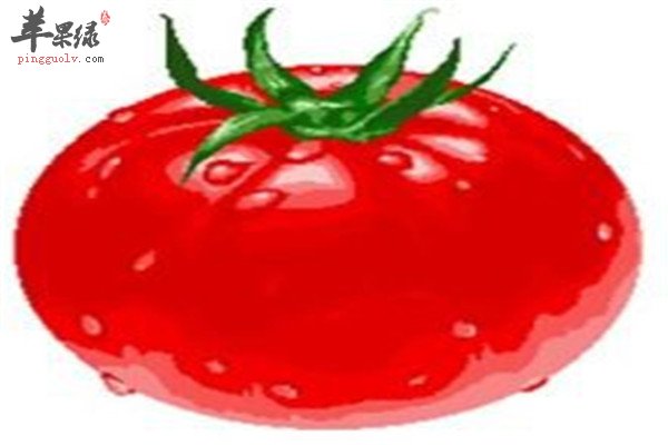 腎陰虛體質的調理 吃大蒜西紅柿
