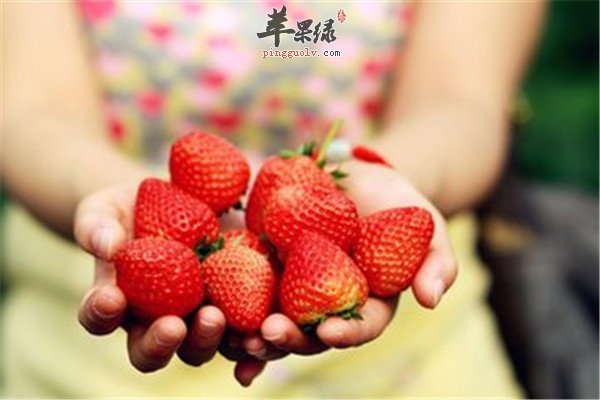 三種食物經常吃能抗衰益壽