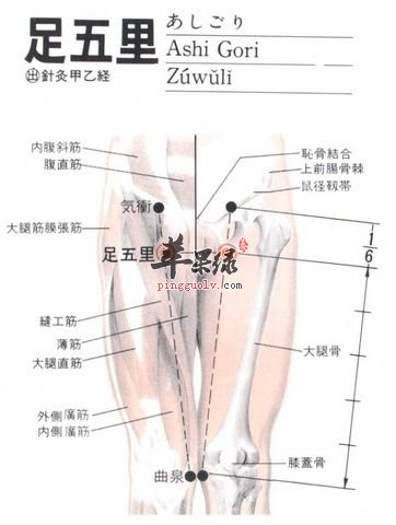 足五裡穴在哪裡 有哪些功效